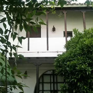 Patio Del Limonero Cordoue